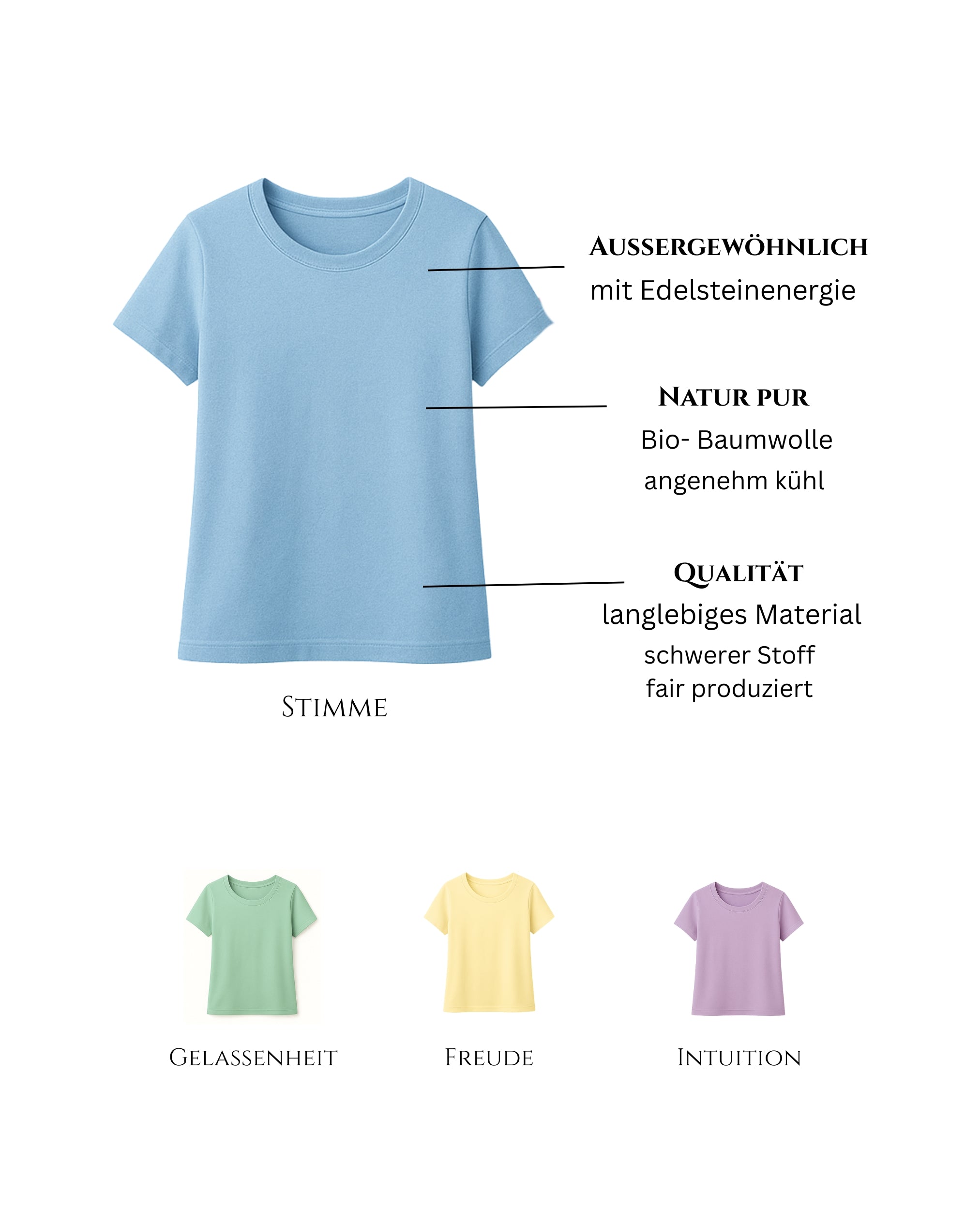 Aries Heavyweight T-Shirt Blau